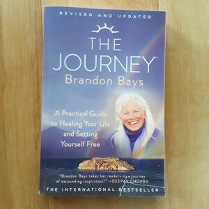 The Journey book by Brandon Bays